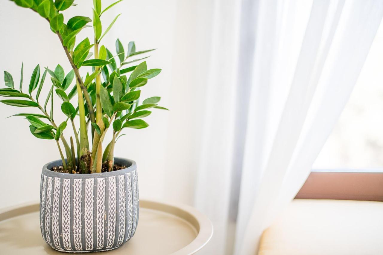 Kyma Luxury Studio Anevato Ngoại thất bức ảnh